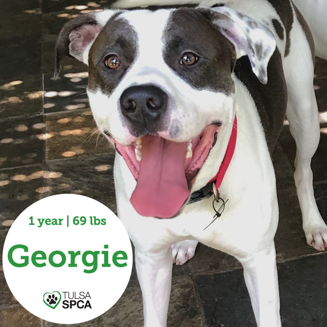 Georgie